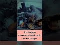Ayi Bajjaja Mukulembele Kawupuli Musoke Ne Mukasa 