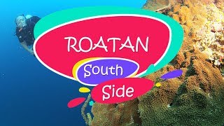 Roatan South Side