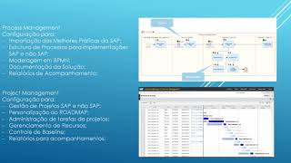 Profissional Sap Solution Manager