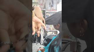 basic layer and mix cut 💇#very easy process#try this video 👈 #haircut#step by step 👍👆✂️🫰💯💯💯