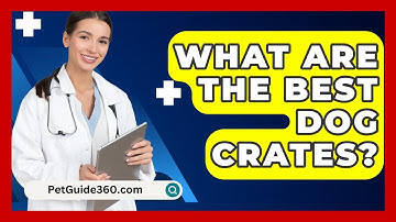 What Are The Best Dog Crates? - PetGuide360.com