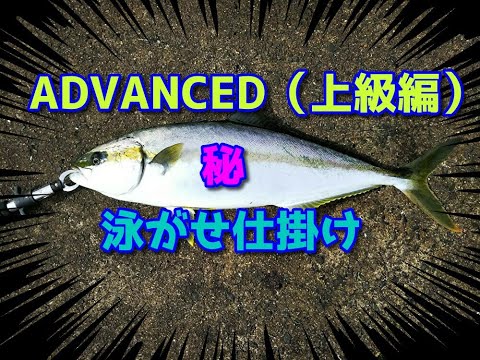 ヒラマサ釣り 泳がせ仕掛け Advanced Edition（上級編） - YouTube
