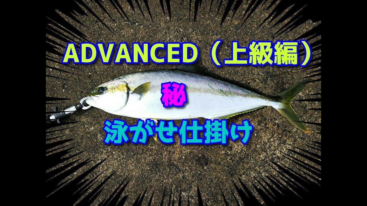 新品レマーレBG 泳がせ　スルルー　クエ　ヒラマサ　石鯛　青物　カゴ釣り　マグロ ヒラマサ釣り 泳がせ仕掛け Advanced Edition（上級編） - YouTube