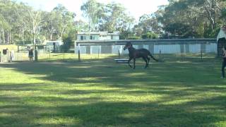 Jump Lunges 1