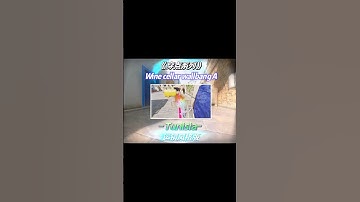 Practical Wallbangs Spots in Tunisia. #codmobile #決勝時刻mobile #codm #使命召唤手游 #wallbang #codmspots