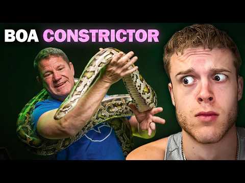 What's The Most Dangerous Animal For Humans?