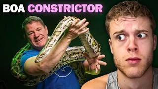 Whats The Most Dangerous Animal For Humans