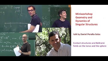 Miniworkshop Geometry and Dynamics of Singular Structures. Talk by Daniel Peralta-Salas