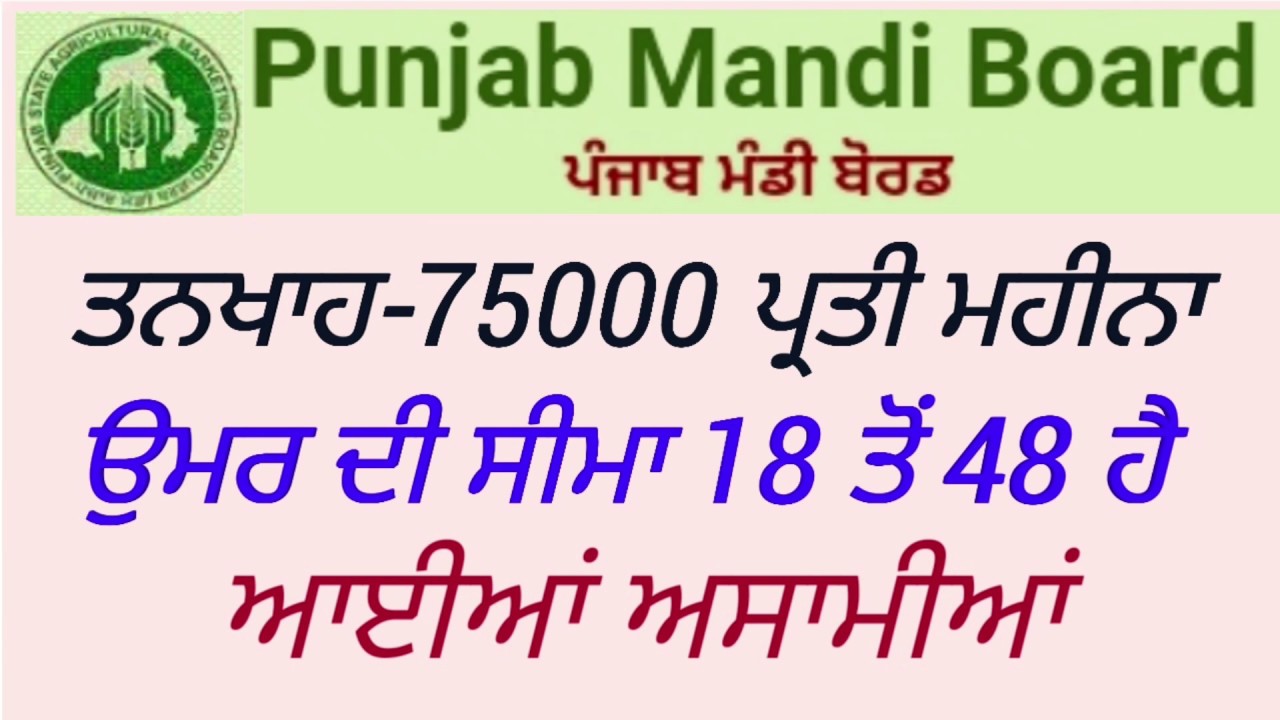 Punjab Mandi Board Department Recruitment 2020 Punjab Mandi Board punjab-mandi-board-department-recruitment-2020-punjab-mandi-board