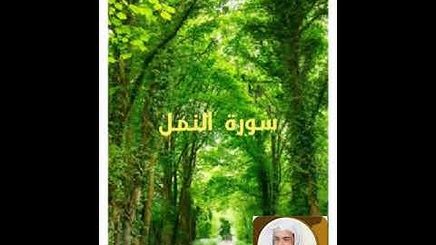 سورة النمل بصوت الشيخ خالد الجليل