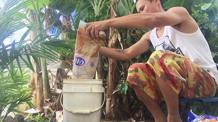 Korean Natural Farming - How to make Fermented Plant Juice - FPJ