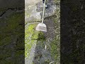 Outdoor Cleaning: Use this trick to easily scrape off ground moss, amazing results!
