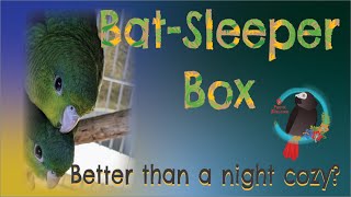 Perfect Parrot Bed A Bat-Sleeper Box 4 My Green-Cheek Conures Parrot Bliss CapeParrot
