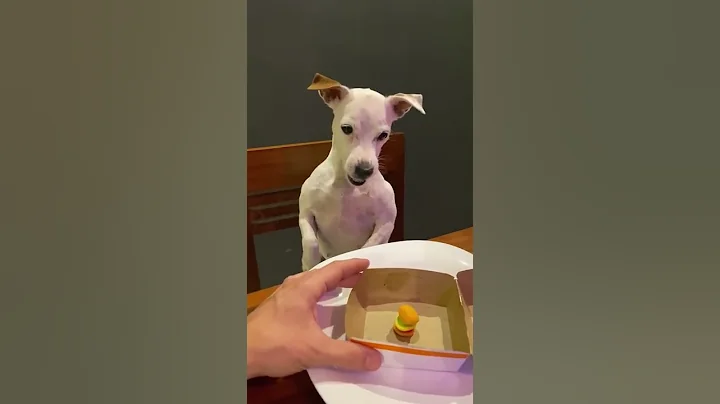 This is an Injustice || ViralHog