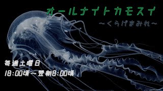 オールナイトカモスイ　～くらげまみれ～ #198　アトランティックベイネットル