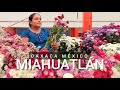 Video de Miahuatlan