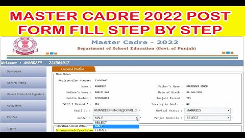 master cadre lecturar job post form filling 2022 Master Cadre Vacancy Form registration login signup