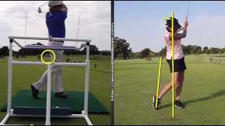 Golf Training Aids - What The ProZone Does For Your Golf Swing