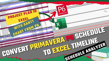 Convert Primavera P6 Schedule to Excel Timeline| Project Plan in Excel with Gantt Chart from P6