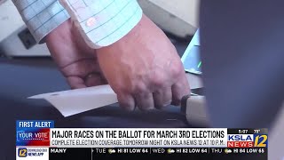 Arkansas and Texas gear up for March 3 election