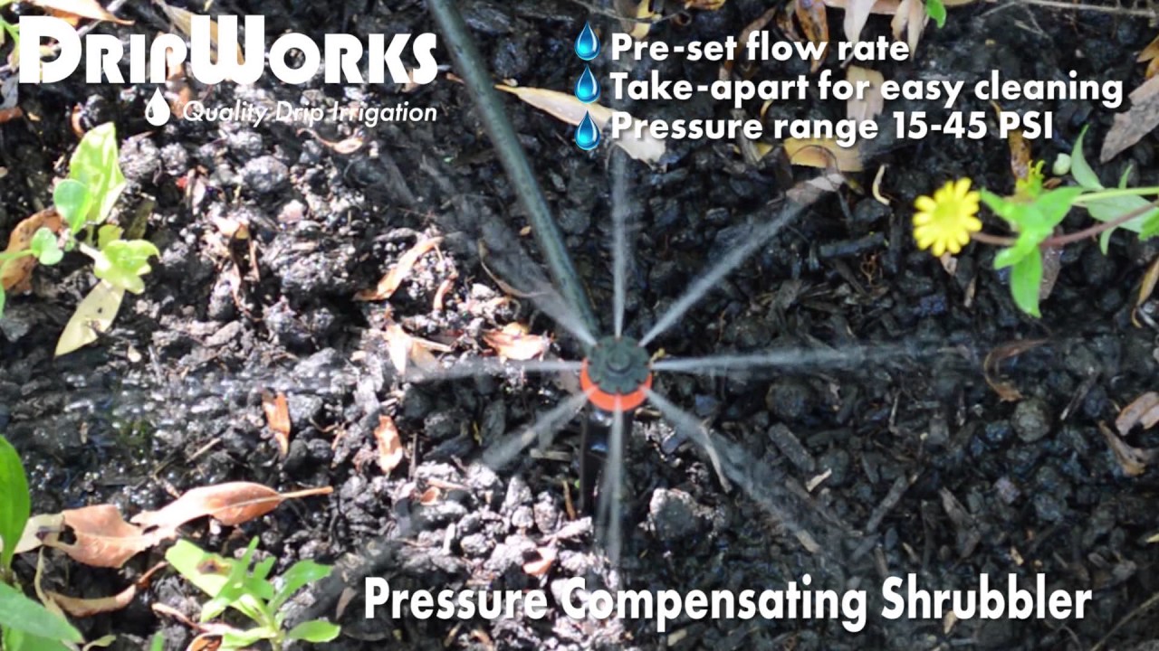 Pressure Compensating Shrubbler - In Action