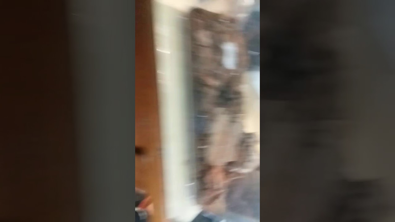 camera iphone 8 plus apk My caraboctonus keyserlingi ( chilean red claw scorpion )