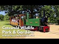 Cotswold wildlife park  gardens  bradwell grove burford uk 06022024