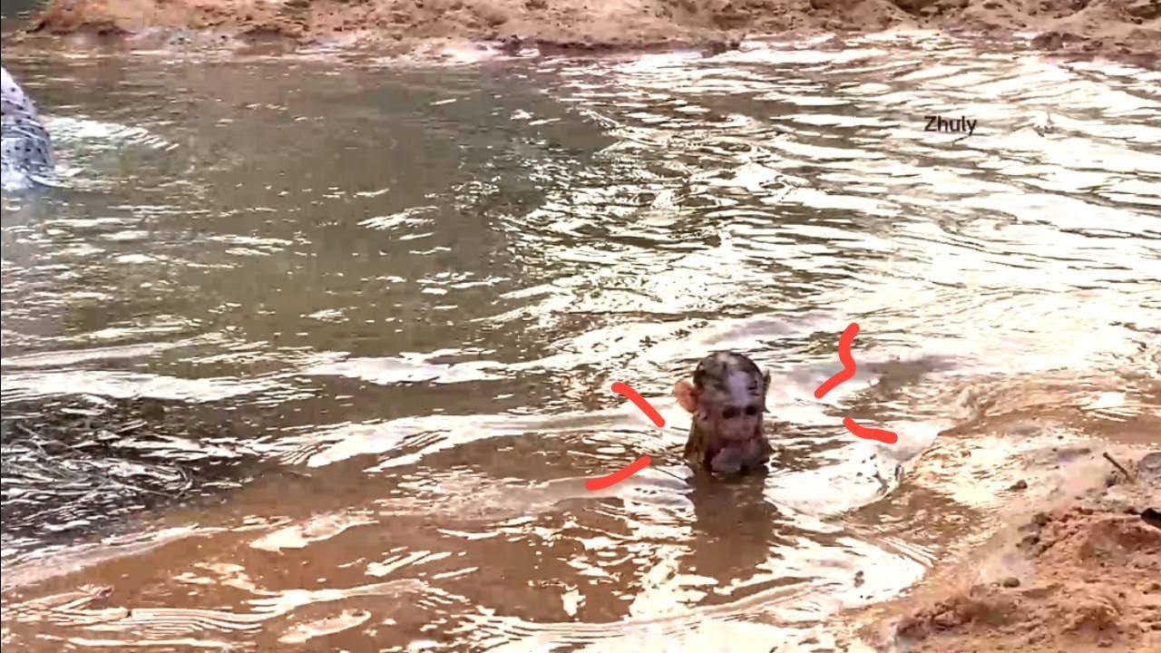 Dad I’m Shilverinq In The River When Dad Busy Findinq Po..r Food For Dinner