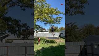 Backyard Chaos Unleashed #shorts