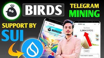 Birds sui Blockchain supported project || birds sui mining || sui project birds complete guide