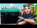 I Used The BEST Valorant Colorbot In The Market😳 (Insane Results...)