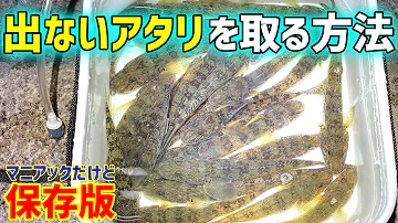花騎士 ハゼ 花騎士 ハゼ