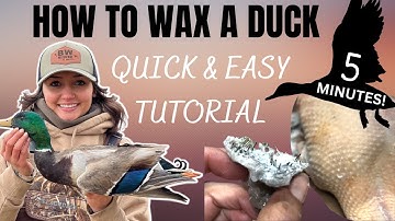 How To Wax A Duck: Quick & Easy Tutorial