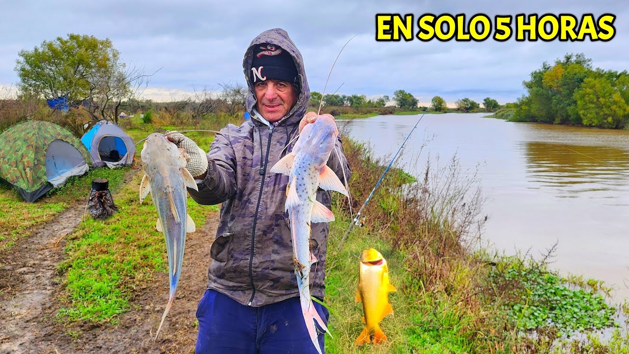 EN TAN SOLO 5 HORAS DE PESCA! Un PIQUE TRAS OTRO, LUGAR CERCA Del RIO PARANA.
