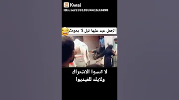 يا حرام شوف الجمل عامل ايه في الست المنقبه ههههههههههه 