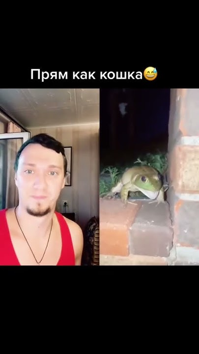 Что за вид лягушек? .Подписывайся👍 #дуэт #рекомендации #shortsvideo # ...
