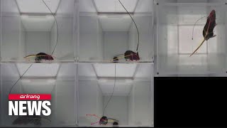 S. Korean Company Develops Ai Program That Objectively Analyzes Animal Behavior