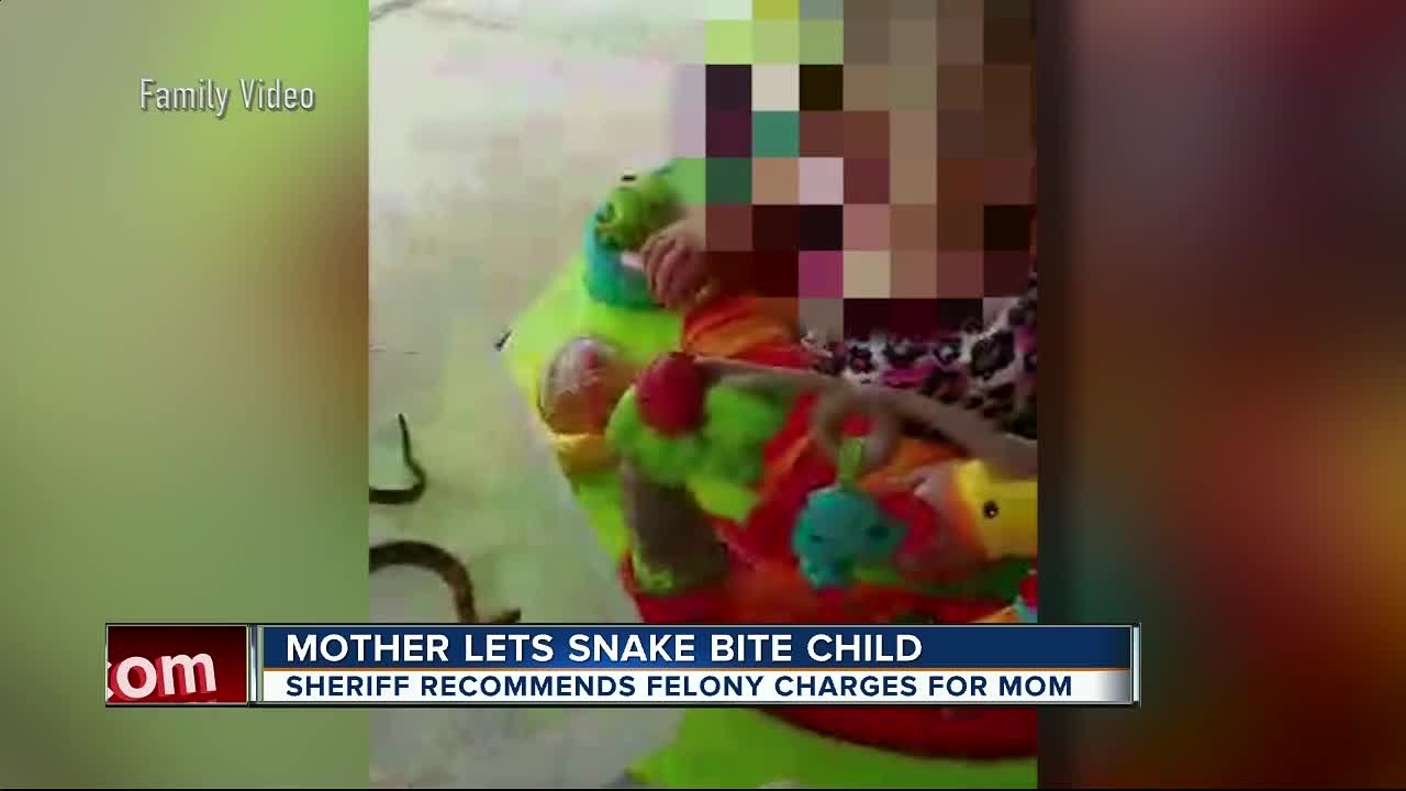 Possible charge after mother let snake bite baby YouTube