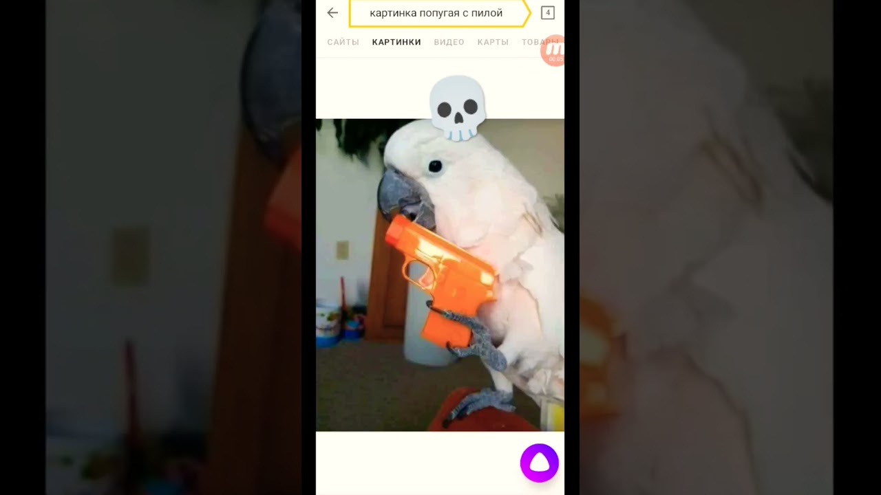 4 августа 2024 г.