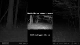 This is a HUGE Bear for PA!!! #fyp #hunting #bear #viral