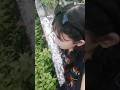 jj axella #belanda #masukberanda #harusberanda #axella #jj #jedagjedug #viral #trending