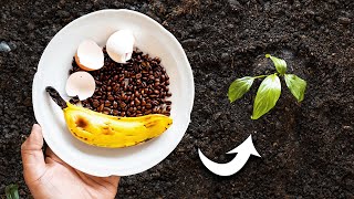 How to Use Eggshells, Banana Peels, and Coffee Grounds in the Garden