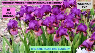 Webinar #27  "Iris Color Patterns: Yesterday, Today, and Tomorrow." by Jill Bonino
