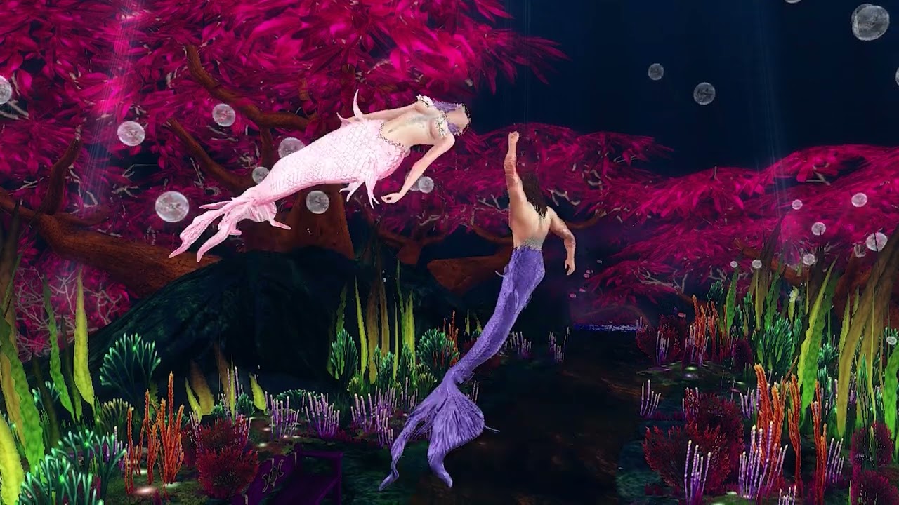 Mermaid Dreams | Episode 2 - Fin to Fin