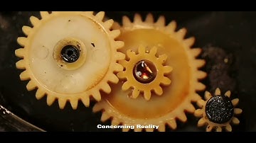 Real life applications of the area and circumference of a circle (Math PETA)