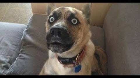 HOW TO BYPASS EVERY SCREENSHARES