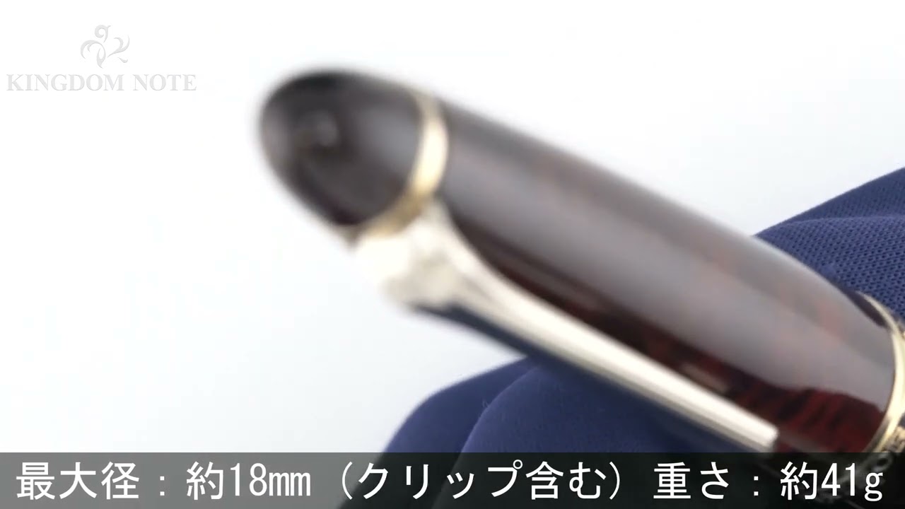SAILOR セーラー 万年筆 プロフィット エグゼ ラッカー ブラウン 中字