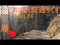 この先には現役の駅がある??超絶秘境駅まで運転してみた