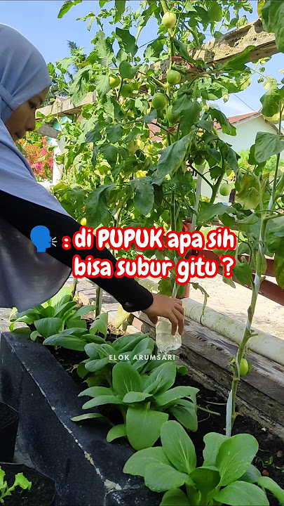 FERTILIZER FOR MY ORGANIC PLANTS