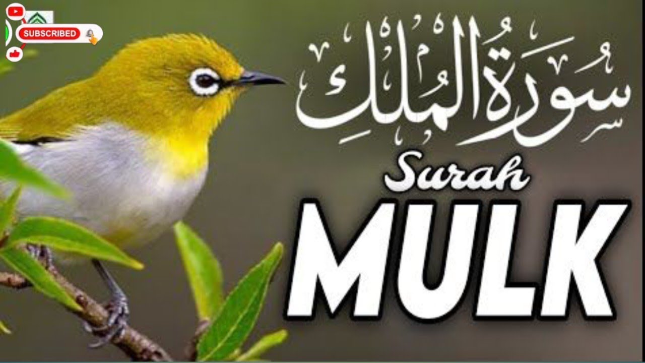 Surah Mulk Soothing Tilawat | Night Protection and Spiritual Peace Quran Audio
